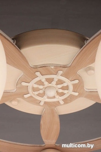 Припотолочная люстра Omnilux Fronteira OML-50517-05