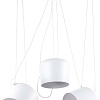 Подвесная люстра Evoluce Trieste SLE120653-03