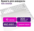 Набор бумаги для рисования BRAUBERG Art Premiere 113231 (10 л)