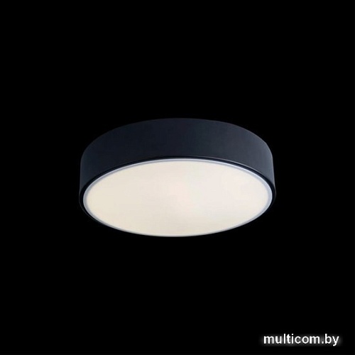 Люстра-тарелка LOFT IT Axel 10002/12 Black