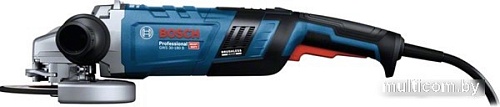 Угловая шлифмашина Bosch GWS 30-180 B Professional 06018G0000