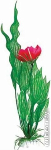 Искусственное растение Barbus Апоногетон Мадагаскарский с цветком Plant 023/20