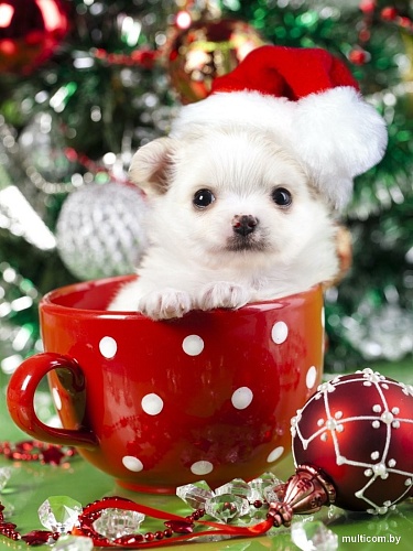 Рыжий кот Новогодний щеночек Х-7526