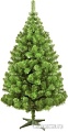 Ель Царь Елка Алтайская 1.5 м