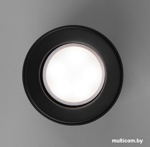 Точечный светильник Elektrostandard DLN116 GU10 (черный)