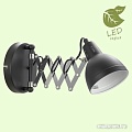 Спот Lussole Loft Koyukuk GRLSP-8049