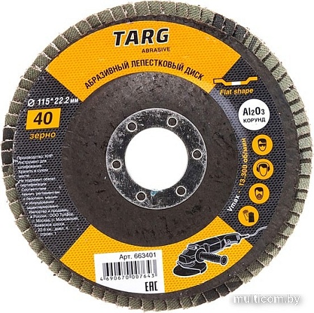 Шлифовальный круг Targ 663401