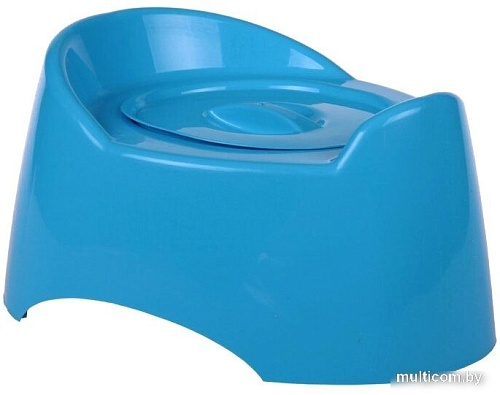 Детский горшок Альтернатива Малышок М1324 (голубой)