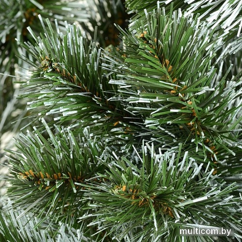 Сосна Erbis Sosna с белыми кончиками 120