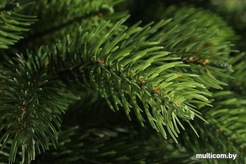 Ель Царь Елка Беверли 1.5 м