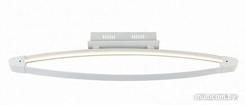 Припотолочная люстра ST Luce Orione SL920.102.01