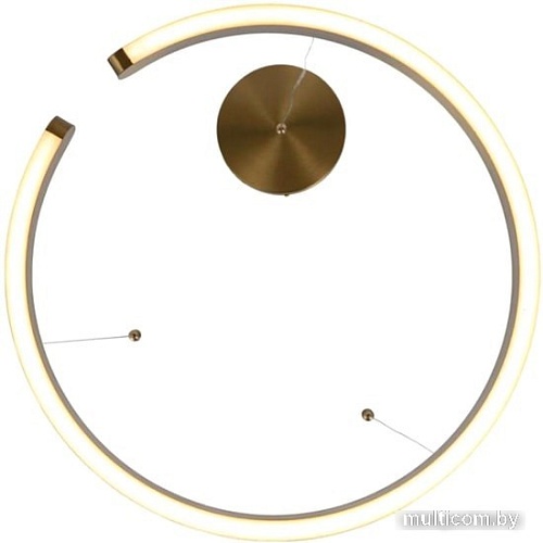 Подвесная люстра LOFT IT Ring 10013S