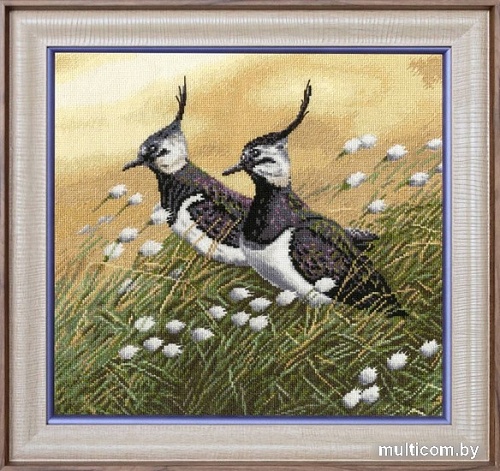 Набор для вышивания Золотое руно Чибисы З-058