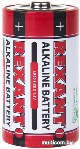 Батарейки Rexant D/LR20 2шт 30-1020