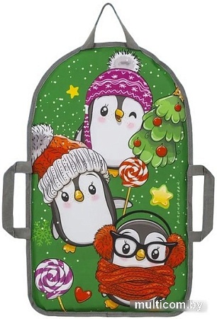 Ледянка Тяни-Толкай Прямоугольная ЛДМО-100 TT.002.LDMО1.00.13.000 (Pinguin)