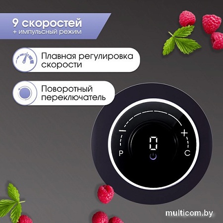 Стационарный блендер Zigmund & Shtain BS-446 D