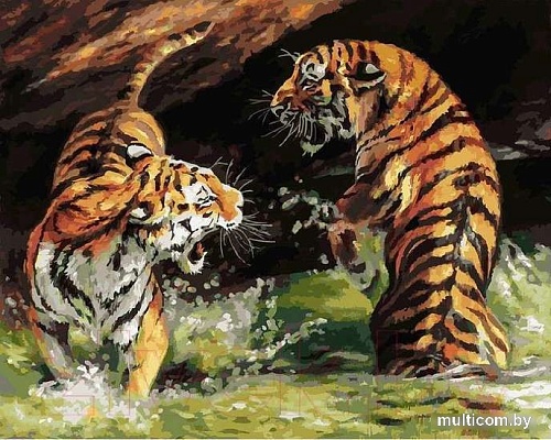 Картина по номерам Белоснежка Первая ссора 186-AВ