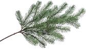 Рождественская ветка Canea Ветка еловая 97CAN0007