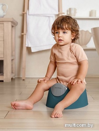 Детский горшок Amarobaby Bonny AB221104B/18 (бирюзовый)