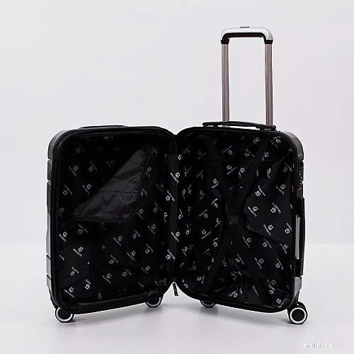 Чемодан-спиннер VALIGETTI 338-2801/3-20DGR (серый)