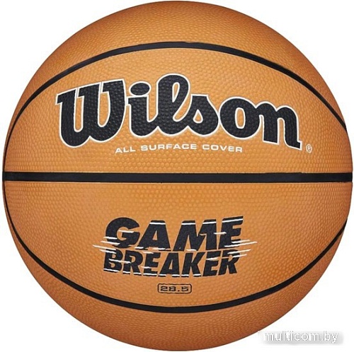 Баскетбольный мяч Wilson Gamebreaker WTB0050XB07 (7 размер)