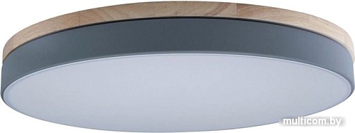 Люстра-тарелка LOFT IT Axel 10001/36 Grey