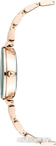 Наручные часы Anne Klein 2434GNRG