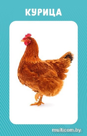 Книга издательства Clever. 100 животных