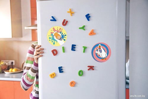 Картина по номерам ФРЕЯ Диско гуси PNBM-007