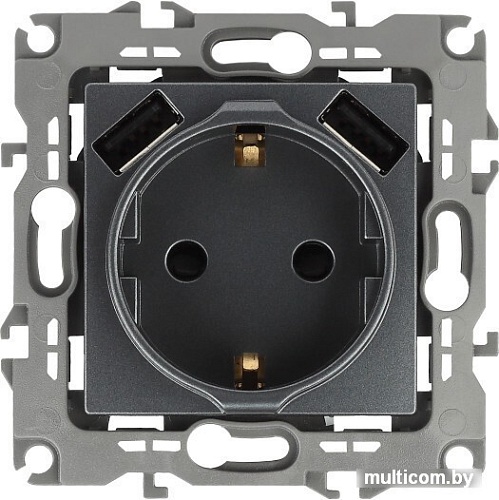 Розетка USB ЭРА 12-4109-12 Б0047846 (графит)