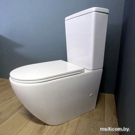 Унитаз напольный Teymi Lina T40103