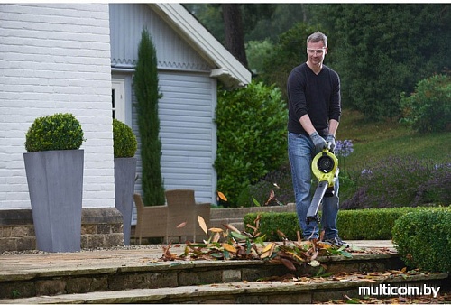 Ручная воздуходувка Ryobi RBV36B [5133002524]