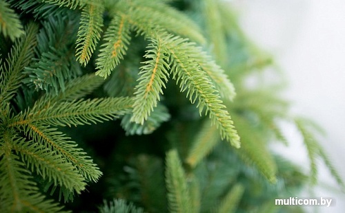 Ель Green Trees Форесто премиум 1.8 м