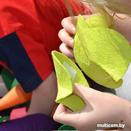 Набор игрушечных продуктов Paremo Овощи с карточками PK320-15 (5 предметов)