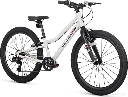 Велосипед Maxiscoo 3bike 24 L 2025 MSC-M3-2403 (серый)