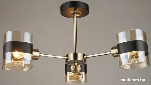 Припотолочная люстра Hiper Aella H212-3