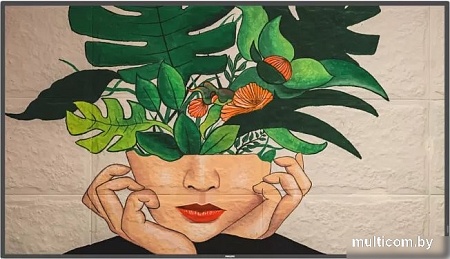 Информационная панель Philips 55BDL4511D/00