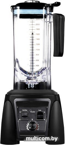 Стационарный блендер Viatto VA-BL2222BQ