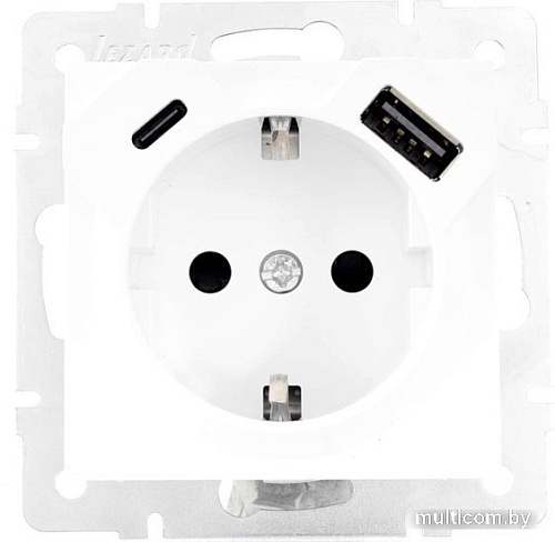 Розетка USB Lezard Vesna 742-0288-181TC