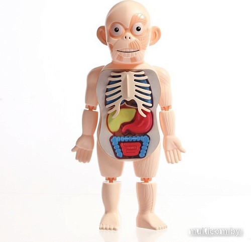 Набор для опытов Эврики Научный набор 7813739