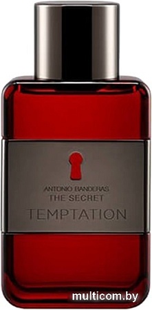 Antonio Banderas The Secret Temptation for men EdT (100 мл)