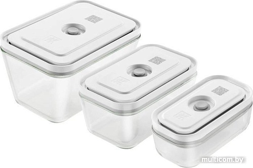 Набор контейнеров Zwilling Fresh&Save 36803-003