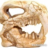 Декорация DekSi Череп динозавра №1002