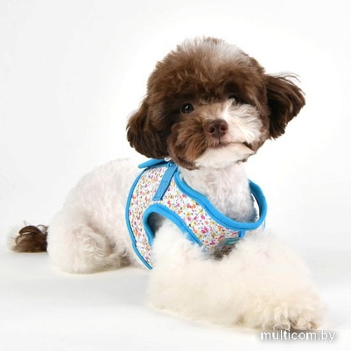 Шлейка-жилетка Puppia Wildflower PAUA-HB1826-SB-XL (голубой)