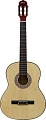 Акустическая гитара Belucci BC3905 N