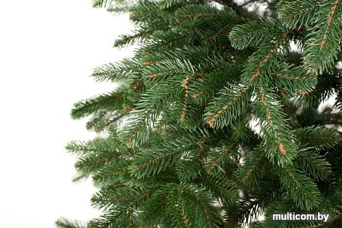 Ель Siga Group Сибирская зеленая 2.1 м