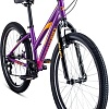 Велосипед Forward Iris 24 1.0 2020 (фиолетовый)