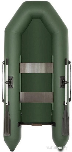 Моторно-гребная лодка Тонар Капитан 260Т (зеленый)