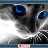 Алмазная мозаика Алмазная Живопись Кошачий взгляд АЖ-1232