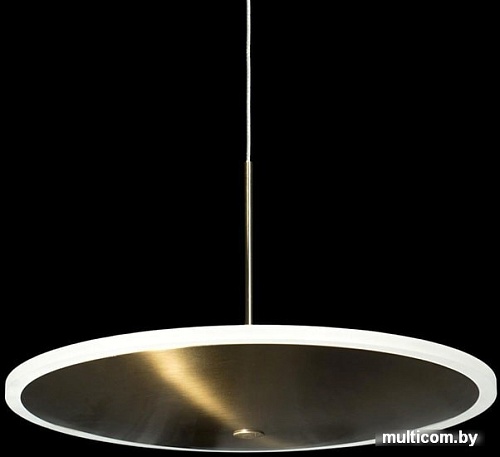 Подвесная люстра LOFT IT Ruedo 10036/300